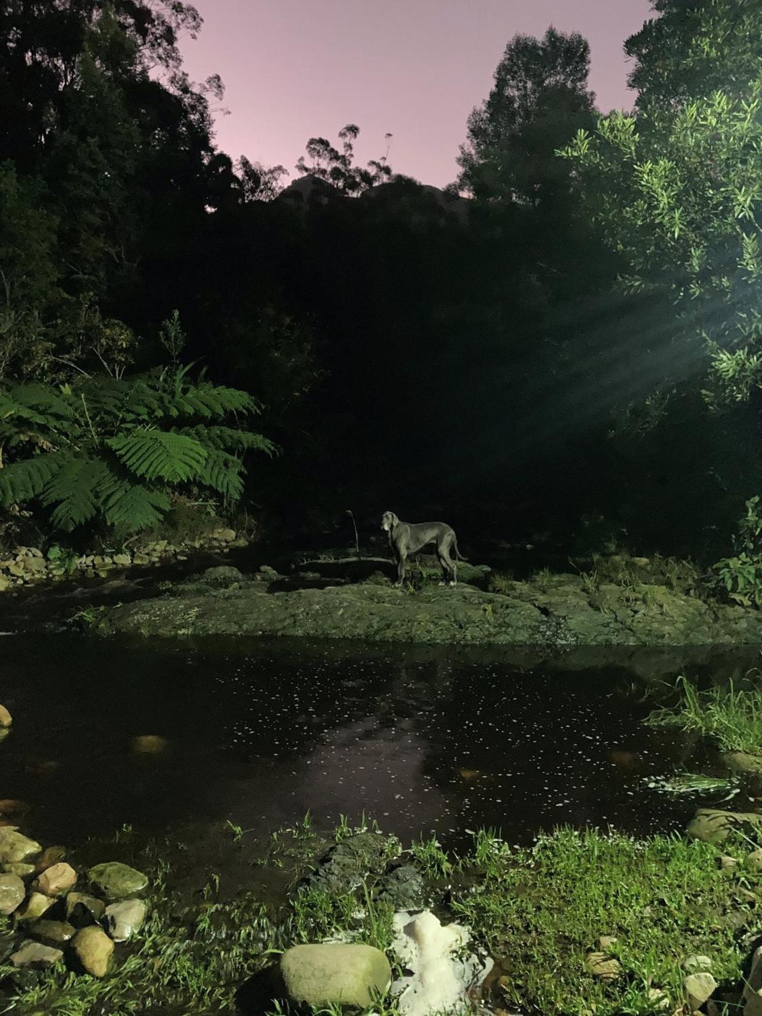 A Riverbed Guesthouse Swellendam Bagian luar foto