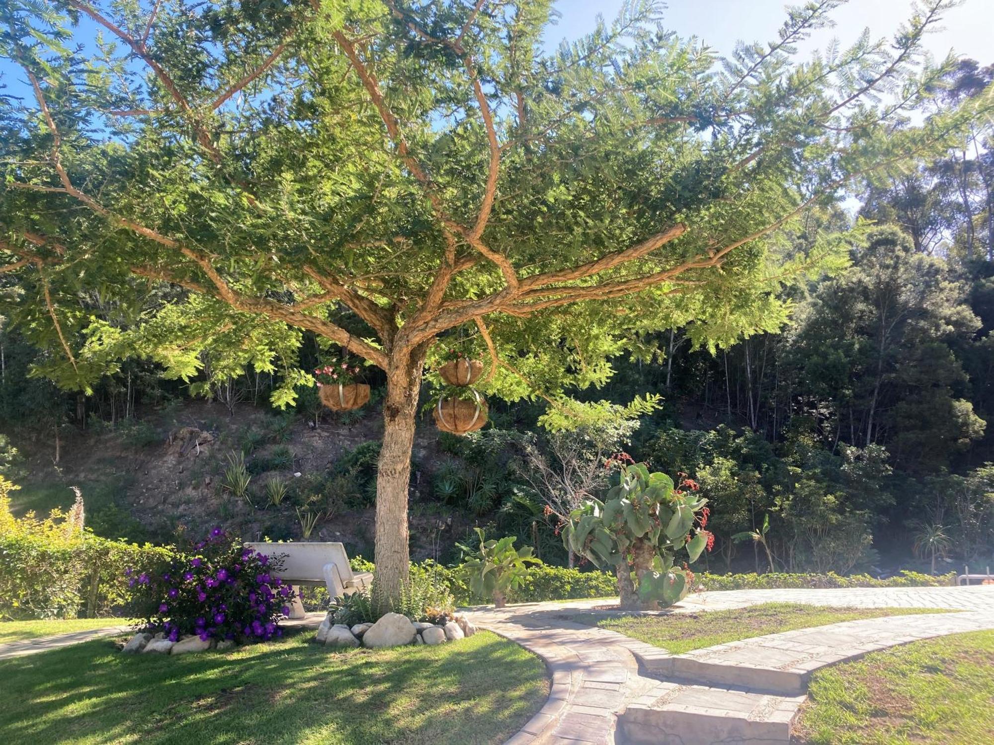 A Riverbed Guesthouse Swellendam Bagian luar foto