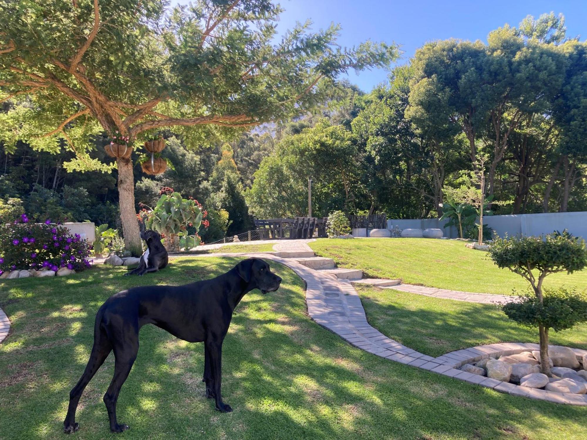A Riverbed Guesthouse Swellendam Bagian luar foto